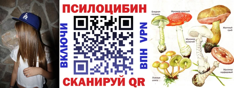 где купить   Ливны  Псилоцибиновые грибы ЛСД 